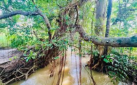 Sigiriya River Side Villa
