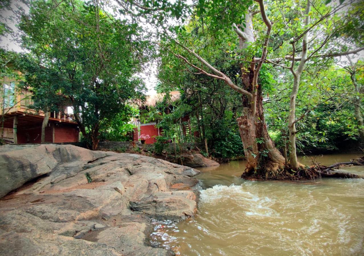 Sigiriya River Side Villa Экстерьер фото