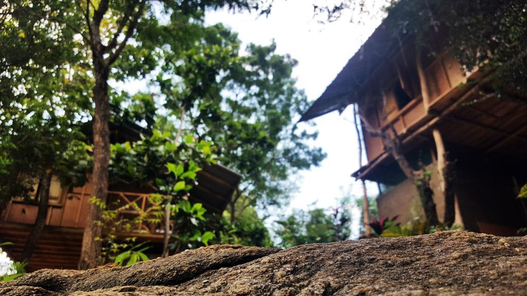 Sigiriya River Side Villa Экстерьер фото